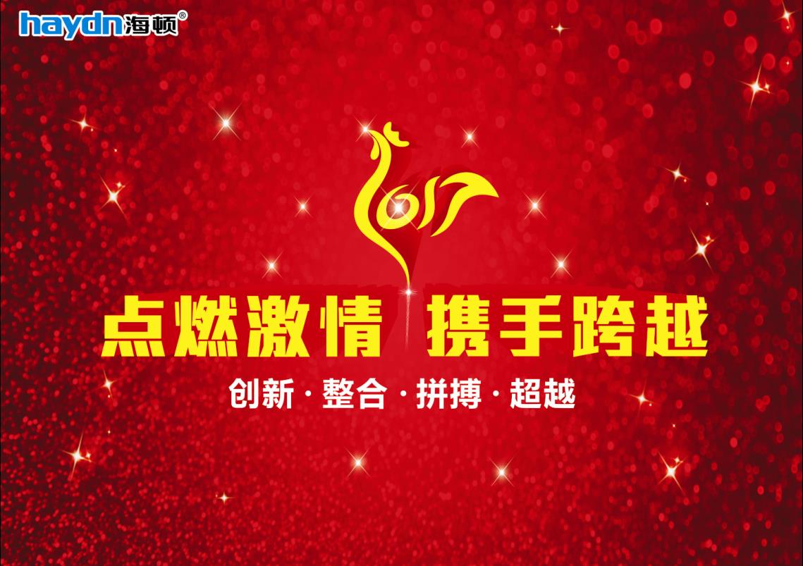 點(diǎn)燃激情|攜手跨越,海頓2017年春節(jié)晚會(huì)